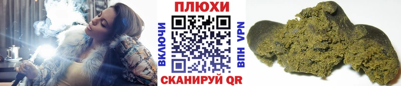 ГАШ Premium Гдов