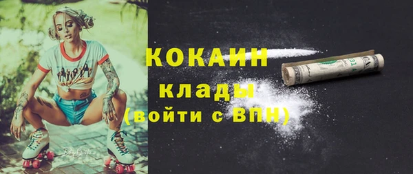 сатива Алзамай