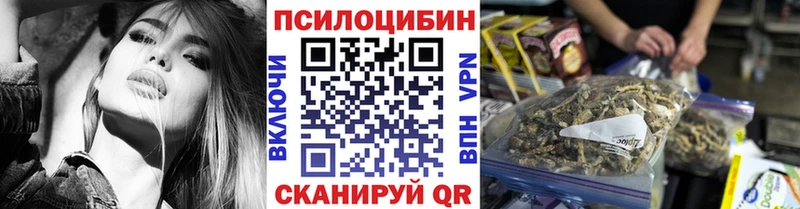 купить   Гдов  Галлюциногенные грибы Psilocybine cubensis 